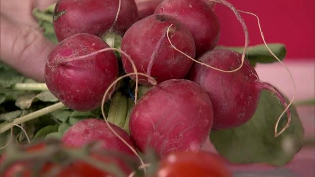 A Guide To Growing Your Own Food Video Cityline