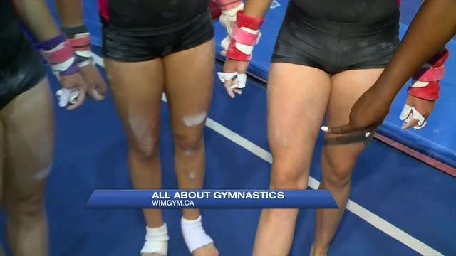 Gymnastics Galore!