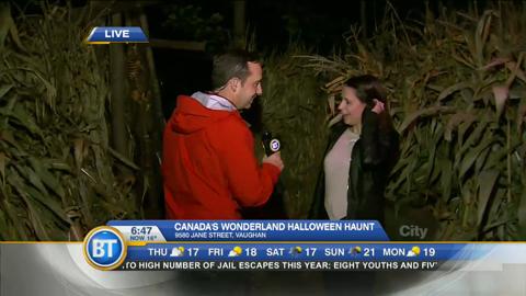Frank live at Canada’s Wonderland (1 of 4)