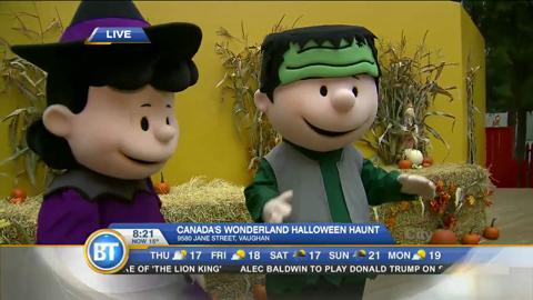 Frank live at Canada’s Wonderland (3 of 4)