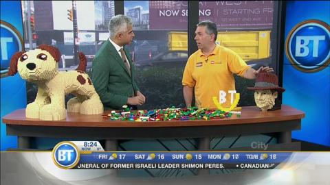 What Does It Take To Be A LEGO Certified Professional?